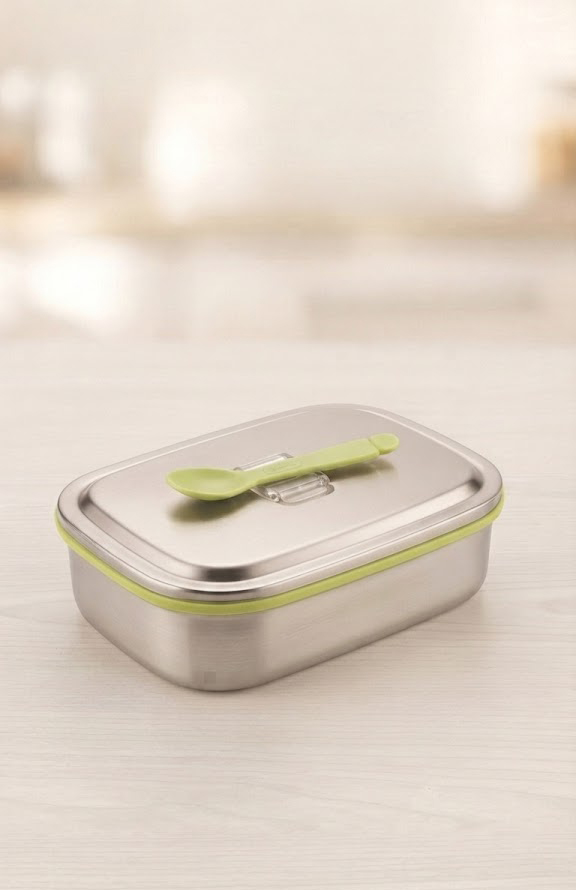 STAINLESS STEEL LUNCHBOX set of  1